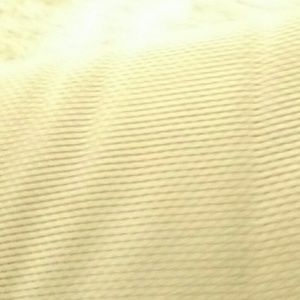 Meet your Posher, Rayyan